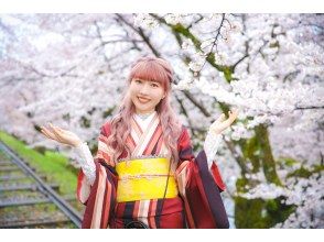 プランの魅力 Spring cherry blossom location shooting package の画像