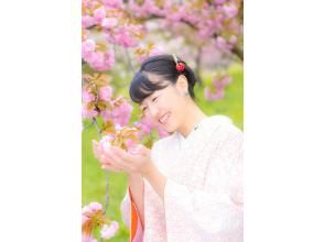 プランの魅力 Kyoto in springtime, cherry blossoms, location shooting の画像