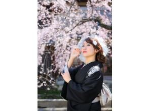 プランの魅力 Kyoto in springtime, cherry blossoms, location shooting の画像