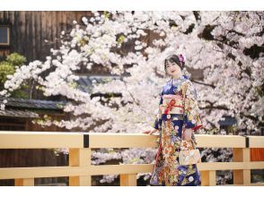 プランの魅力 春天的京都，櫻花，外景拍攝 の画像