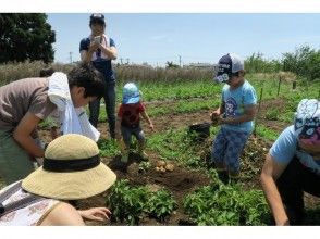 プランの魅力 Experience touching the soil の画像