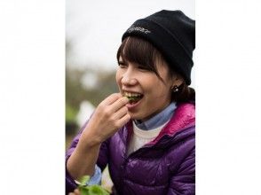 プランの魅力 Freshly picked vegetables are fresh の画像