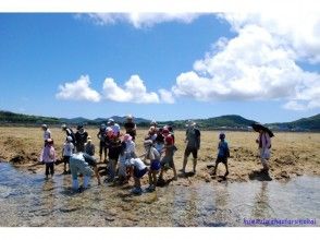 プランの魅力 培养对大自然的热爱 の画像