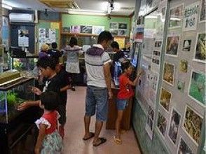 プランの魅力 久米島の自然を学ぶ の画像