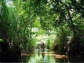 プランの魅力 Foster a heart that loves nature の画像