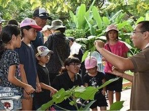 プランの魅力 培養對大自然的熱愛 の画像