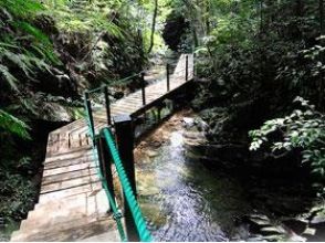 プランの魅力 心地よい水音 の画像