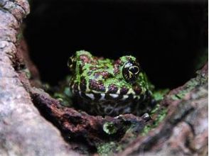 プランの魅力 Great nature の画像