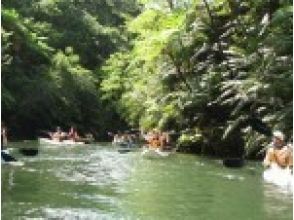 プランの魅力 Having a swim in a river の画像