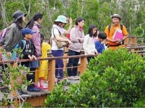 プランの魅力 潮滩观测 の画像