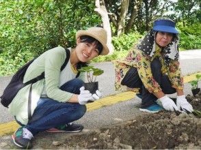 プランの魅力 种植经验 の画像