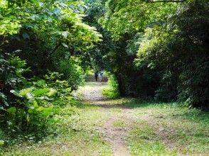 プランの魅力 Walking Sueyoshi Park の画像