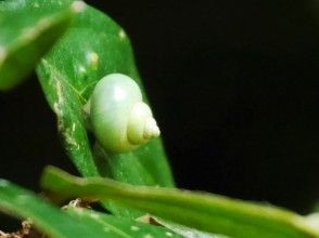 プランの魅力 Great nature の画像