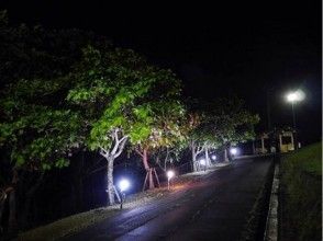 プランの魅力 欣賞夜景 の画像