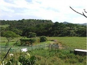 プランの魅力 I can spend slowly surrounded by nature の画像