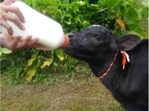 プランの魅力 いろいろな動物と触れ合えます の画像