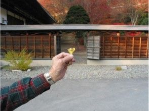 プランの魅力 Reishoji Ohatsuki Ginkgo の画像