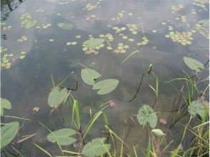 プランの魅力 中綱湖 の画像