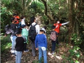 プランの魅力 从小孩到老人 の画像