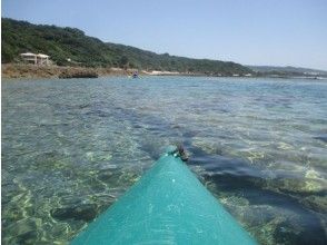 プランの魅力 Kayak to the sea of Okinawa の画像
