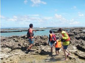 プランの魅力 濡れずに沖縄の海を楽しむ の画像