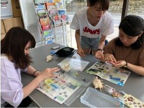 プランの魅力 享受雨天 の画像