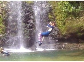 プランの魅力 Yanbaru ที่น่าสนใจ! เดินป่าแม่น้ำ の画像