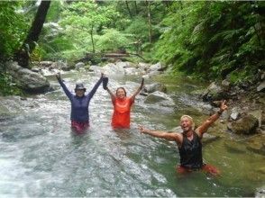 プランの魅力 Yanbaru is interesting! River trekking の画像