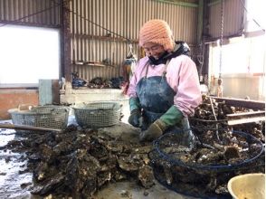 プランの魅力 From Ise Futamiura! All-you-can-eat Uramura oysters! !! の画像