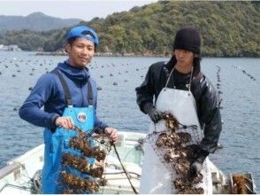 プランの魅力 街歩きも楽しい の画像