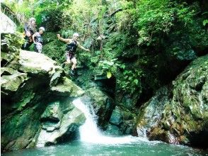 プランの魅力 Be brave and dive into the pool at the bottom of the waterfall! A thrilling jumping experience! の画像