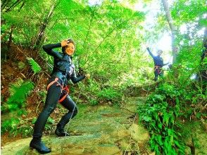 プランの魅力 An exciting and thrilling adventure experience on a jungle expedition! の画像