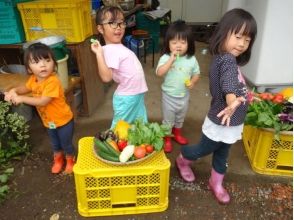 プランの魅力 Fun vegetable harvest experience ☆ の画像