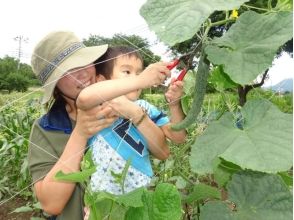 プランの魅力 The first farming experience! It is! の画像