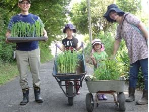 プランの魅力 家族一緒に共同作業！ の画像