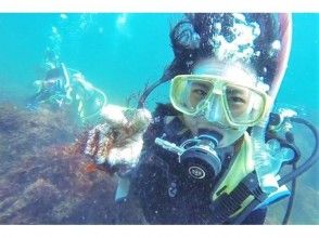 プランの魅力 可以在水中自由游泳很有趣♪ の画像