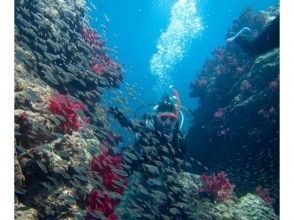 プランの魅力 Covered with fish ♪ の画像