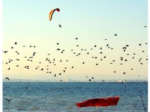 プランの魅力 鳥とのフライト の画像