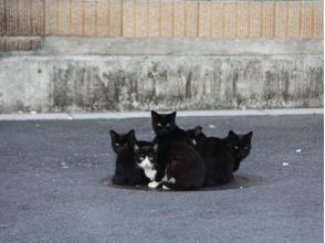 プランの魅力 16:30：沿着Nagawa街走 の画像