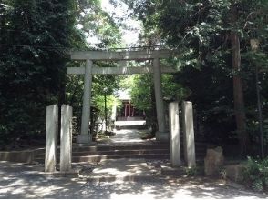 プランの魅力 Visit a shrine の画像