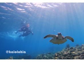 プランの魅力 ウミガメとシュノーケリング の画像