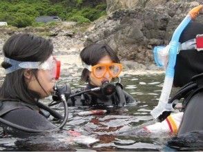 プランの魅力 从儿童到成人 の画像