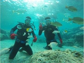 プランの魅力 熱帯魚と一緒に記念撮影(^^♪ の画像