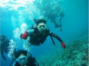 プランの魅力 一起在海裡玩♪ の画像