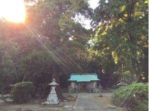 プランの魅力 神聖な雰囲気の月間神社 の画像