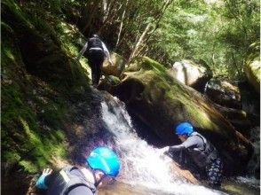 プランの魅力 It was also in Tokushima ♪ Such an exciting adventure space! の画像