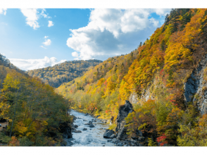 プランの魅力 鵡川の紅葉 の画像