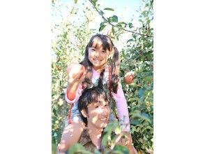 プランの魅力 apple picking の画像