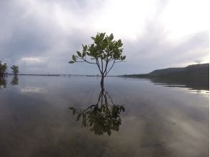 プランの魅力 夜明け　その２ の画像