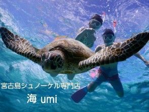 プランの魅力 Swim to a deep point の画像